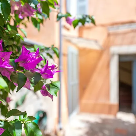 Apartment 2 Pieces Sur Le Port Avec Parking Gratuit Et Wifi *